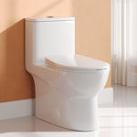 Ally Dual-Flush Elongated One-Piece Toilet with Glazed Surface Modern Toilet with Comfort Seat Height  (Seat Included)