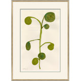 Fruity IV Giclee Print by Susan Hable