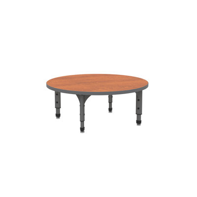 Apex Series Adjustable Round 4 Students Activity Table