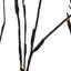 Floral 96 LED Lights Willow Branch