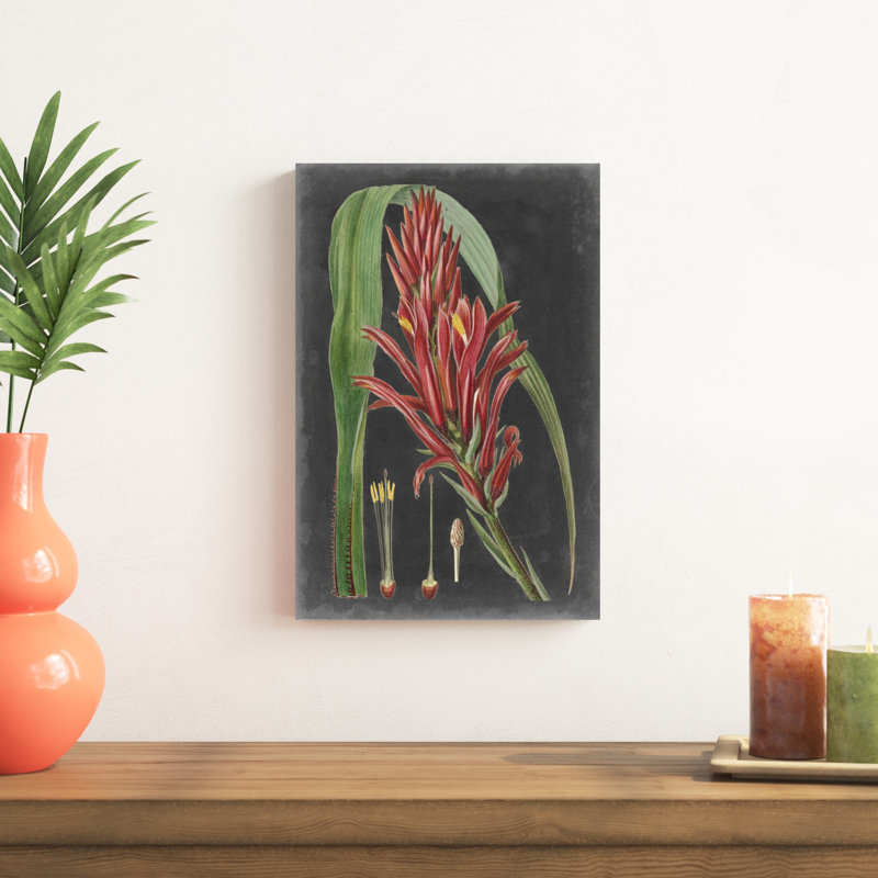 Dramatic Tropicals II, H 18 po x l 12 po x P 1,25 po