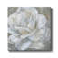 Bombshell Bloom II - impression sur toile tendue-479573624