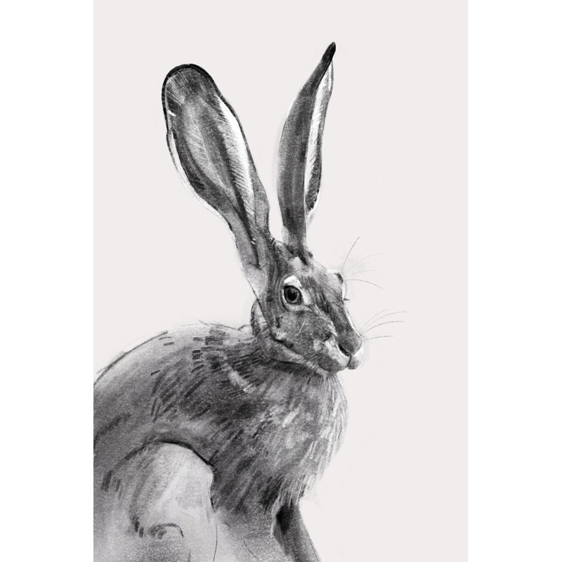 Wild Hare II by Emma Caroline - Wrapped Canvas Painting, 30cm H x 20cm W