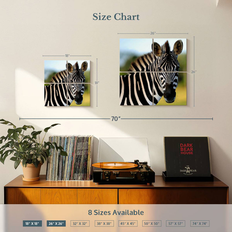 Brampt Staring Zebra, 26" H x 26" W