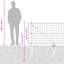 Galvanised Steel Border Fencing-588533952-588533965