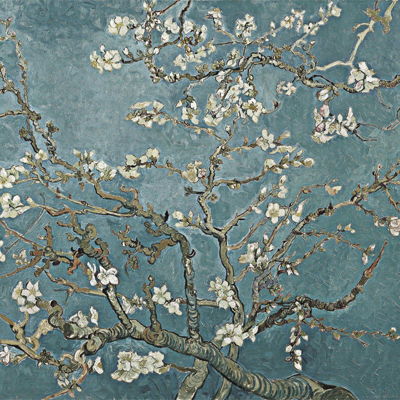 Cadesha 2.5m x 2.5m Matte Mural, 250 x 250cm