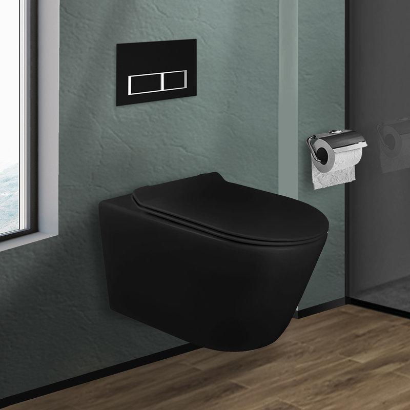 Dakota Dual-Flush Toilet shape Wall-Mount Toilet (Seat Included), Black Matte