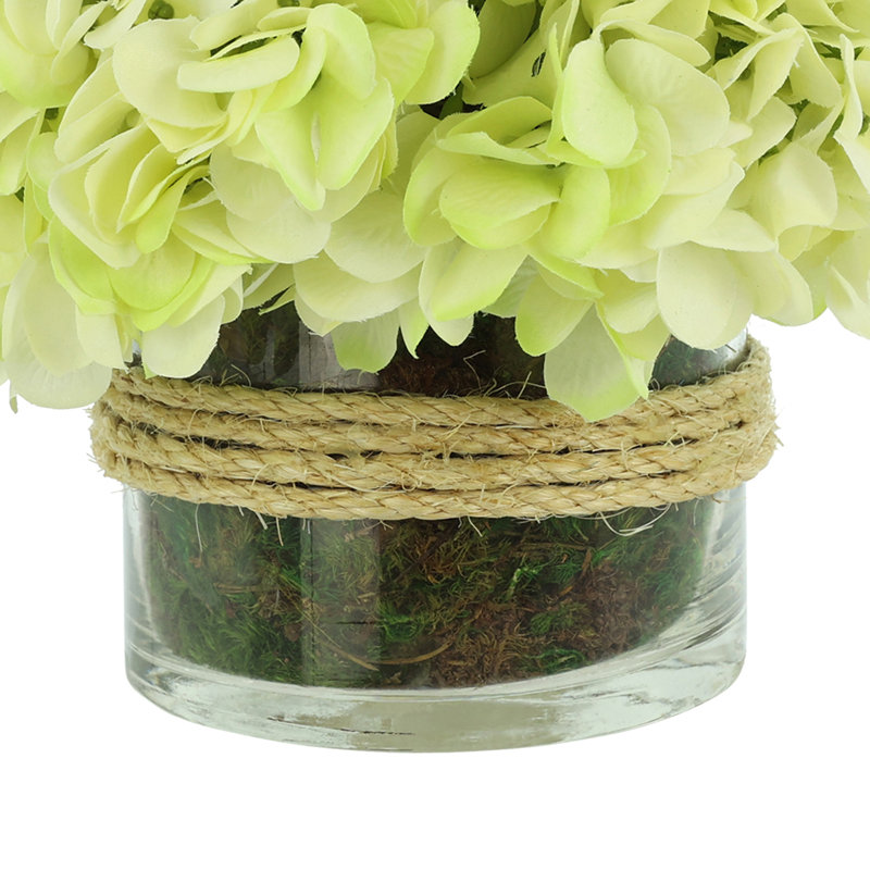 Hydrangea in Glass vase with Moss, Yellow
