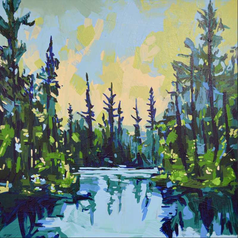 Conifer