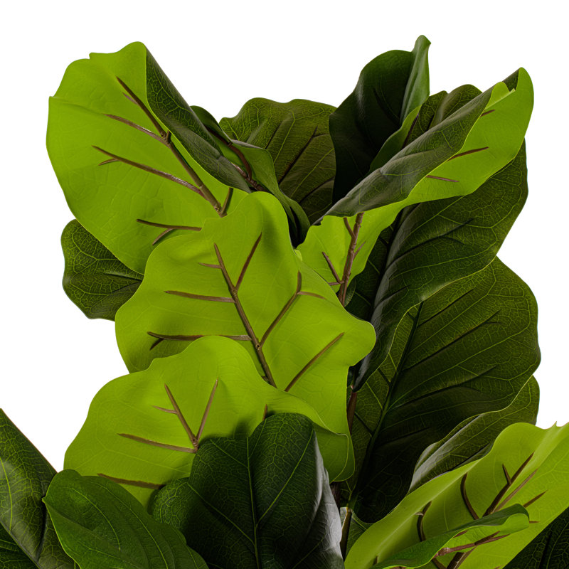 72 po plante verte violette en pot