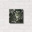 Petites fleurs blanches par Tom Quartermaine-221734436