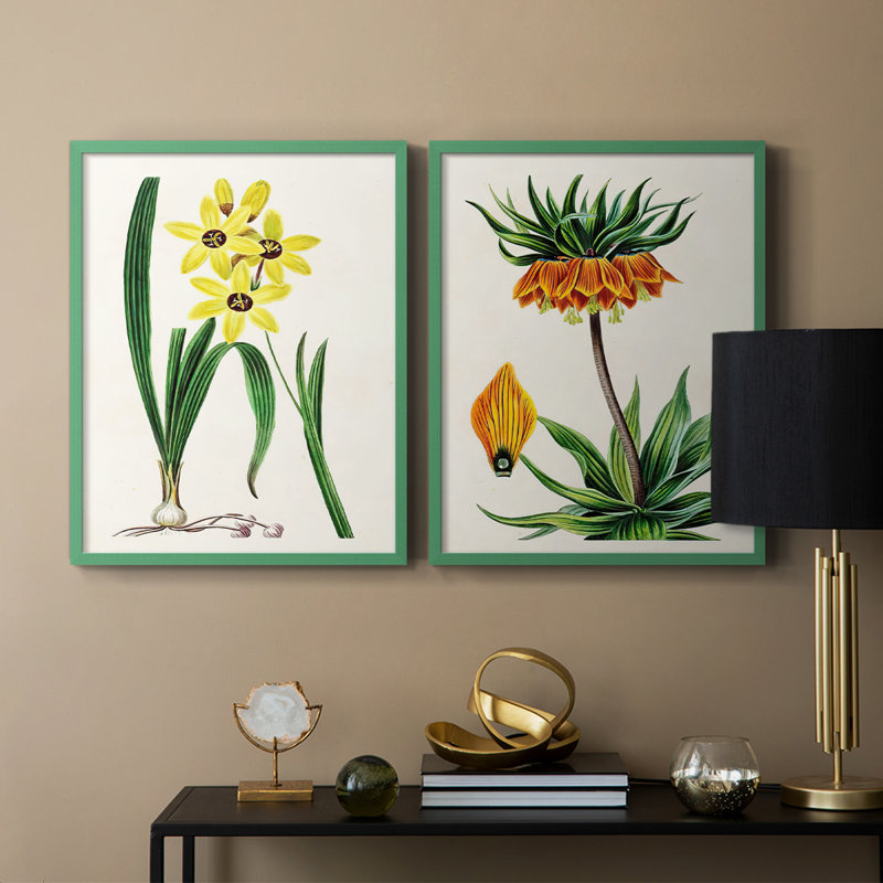 AntiqueFloralFolioVI - reproduction encadrée de qualité supérieure - prête à être accrochée - aucun clou requis - aucun clou requis