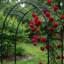 Tonnelle de jardin en métal avec panneaux latéraux en treillis Scendor H 88,6 po x l 50,8 po