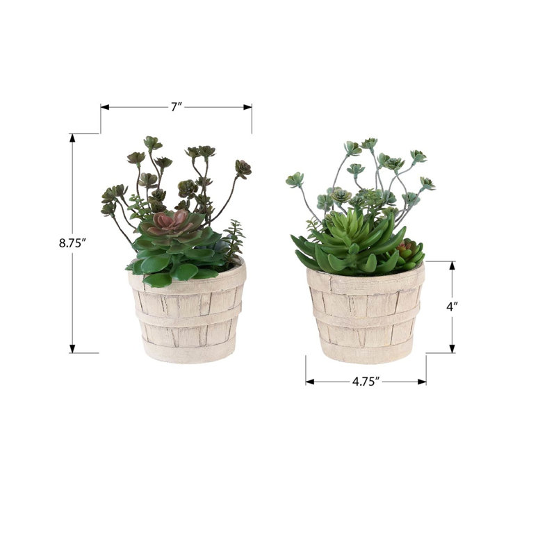Plante artificielle