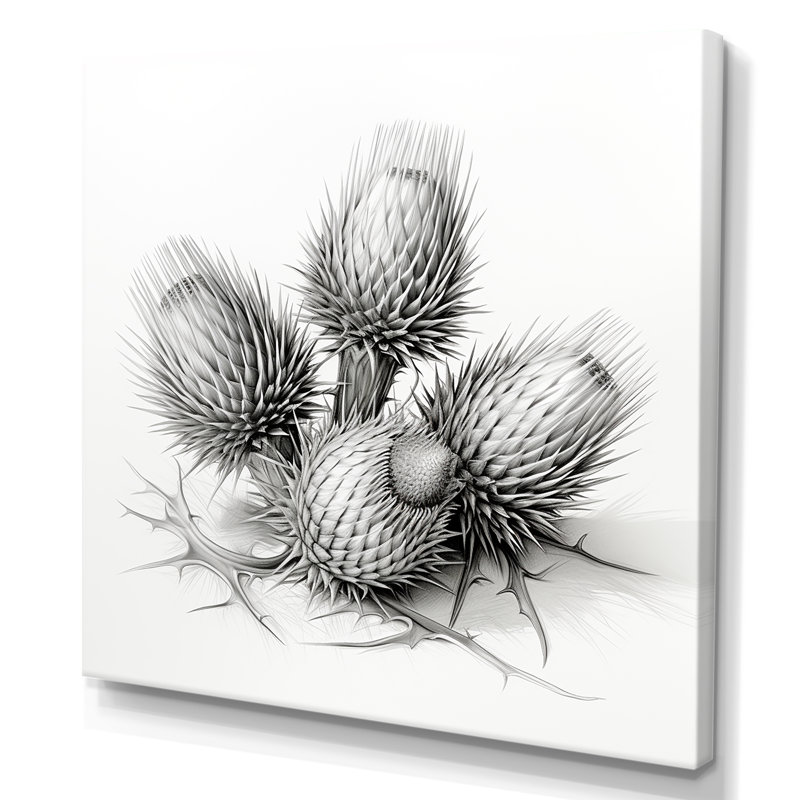 Fleurs de chardon - Art mural Thistle, H 16 po x l 16 po