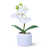 White est en rupture de stock