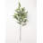 Eucalyptus Arrangement