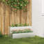 Planter Box-243940820