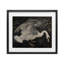Impression rétro sous verre, cygne foncé, par Jose Perez-2031484224-2031484226