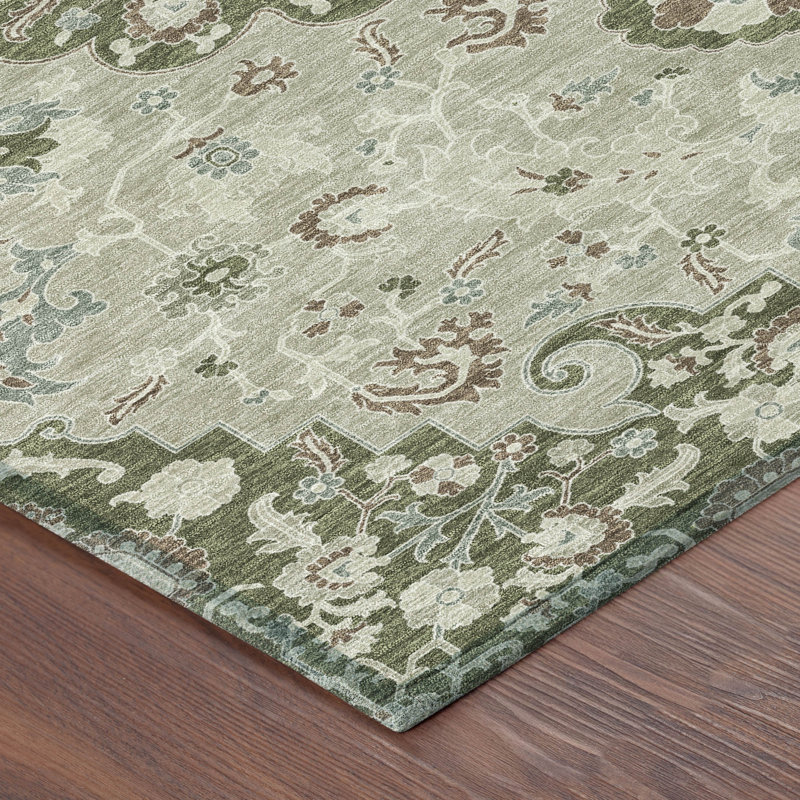 Machine Washable Indoor/Outdoor Chantille ACN2463 Traditional Rug, Olive, 9' x 12'