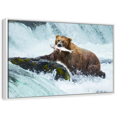 Pêche à l'ours simple
