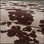 Versatile Storage Ottoman With Stylish Appeal For Any Room