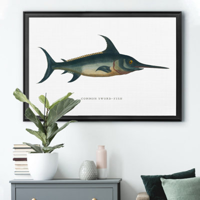 " Common Sword Fish "