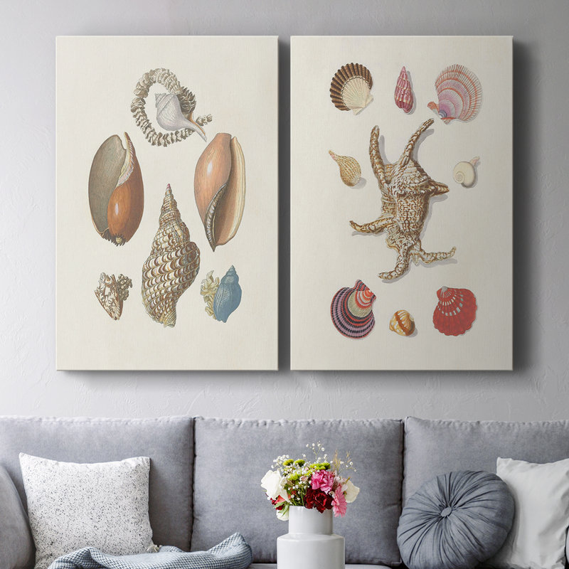 Toile tendue Knorr Shells & Coral I-Premium Gallery - prête à être accrochée