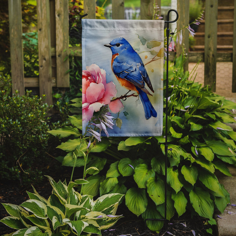 Drapeau du jardin Bluebird_DAC3188