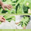 Tapis pour salle de bain Green Leaf