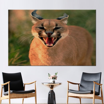 Print on Canvas