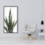 Snake plant - 24"x48" Framed canvas