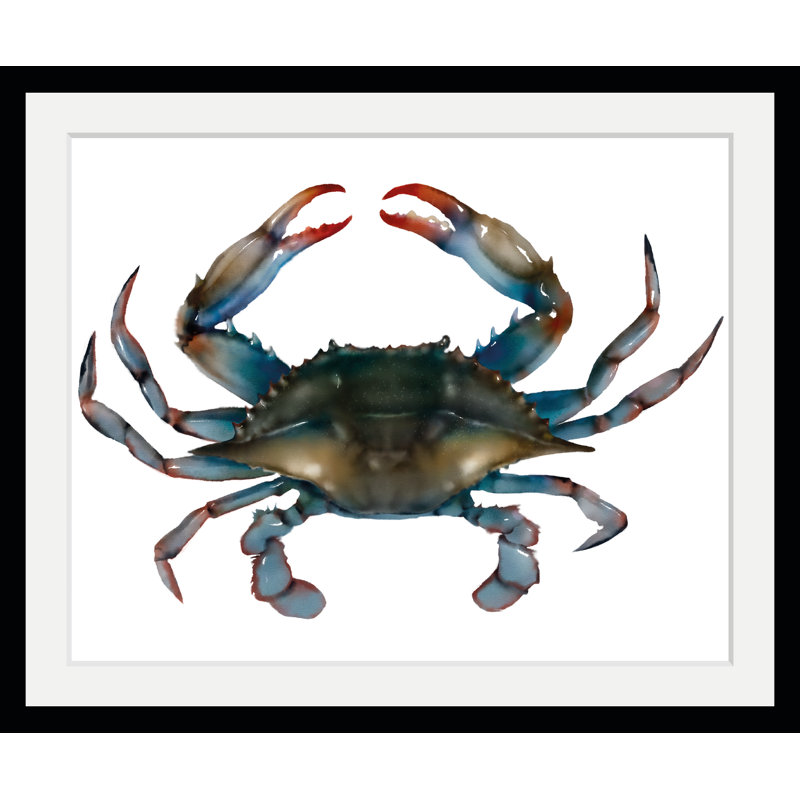 Crab - Single Picture Frame Print