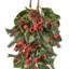 26" Premium Berry/Pine/Magn/Holly Teardrop