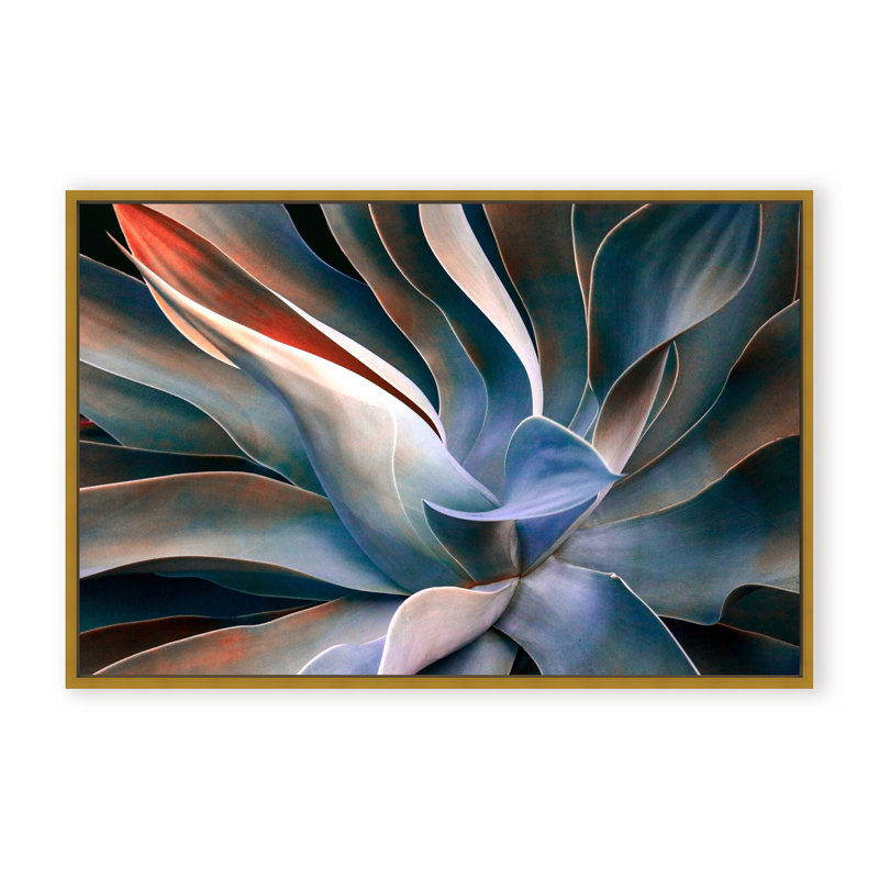 Nature Inspired The Colors in Leaves by  - Picture Frame Graphic Art on Paper, 32" H x 48" W x 1.125" D, Black
