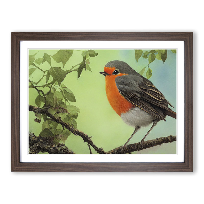 Magnetic Robin Bird - Framed Print, 46cm H x 64cm W x 2cm D, Walnut