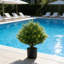 2 arbres artificiels en forme de boule topiaire artificielle en T de 19 po (ensemble de 2)