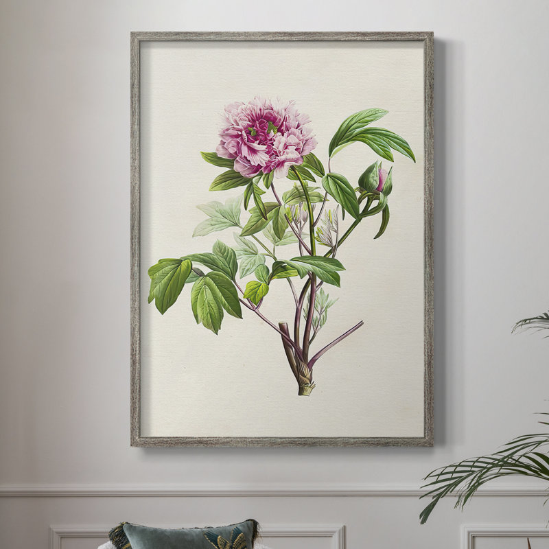 «Pretty Pink Botanicals», reproduction encadrée en bois massif 2768832