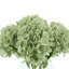 Hydrangea Bouquet-1894723916