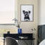 Yorkshire Terrier - cadre photo, impression sur verre