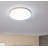 Parinaaz LED Flush Mount