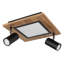 Ayela LED Spotlight
