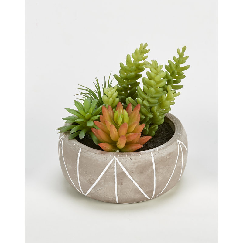 Plante grasse artificielle 3 po en pot