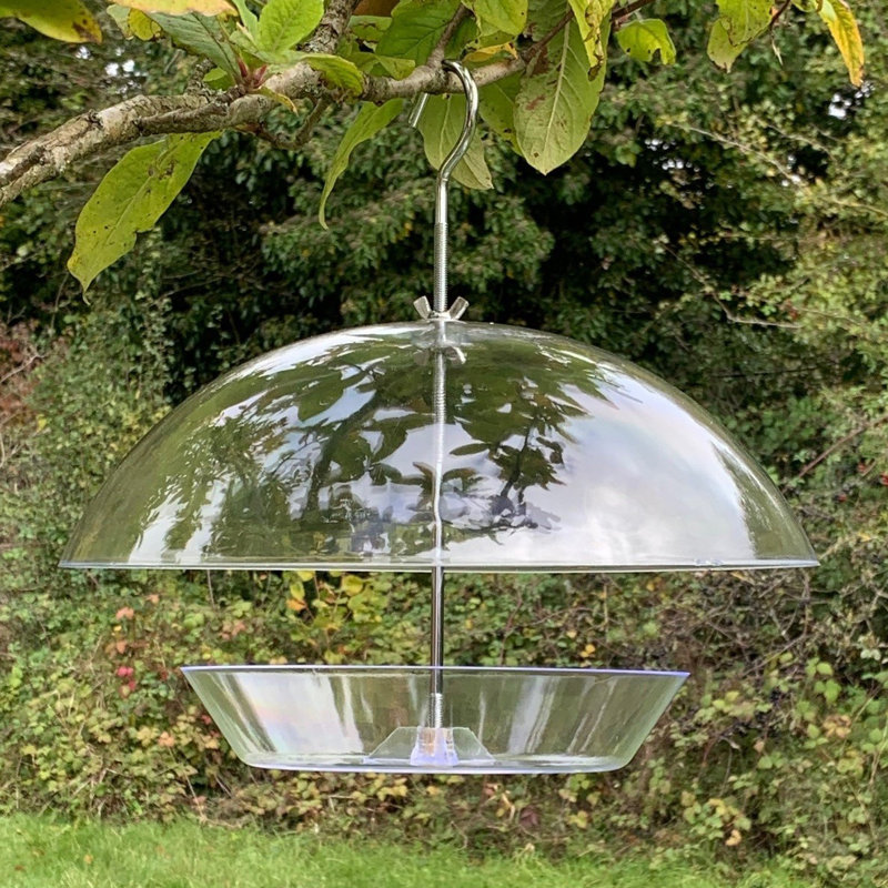 Kronos Hanging Tray Bird Feeder