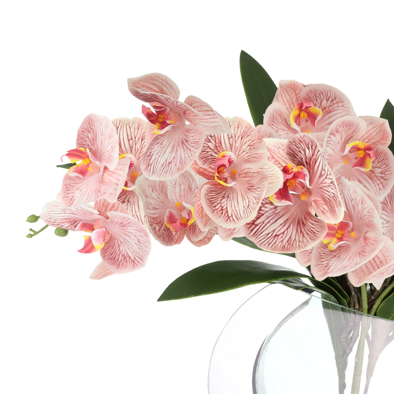 Orchid Floral Arrangement in Vase, Pink