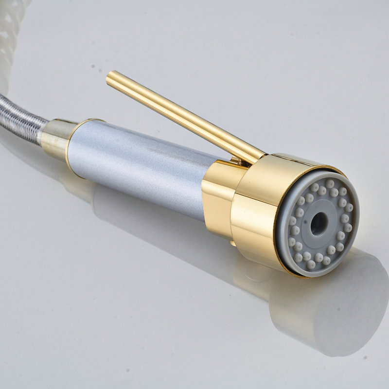 Robinet d'évier de cuisine luxueux en or brossé avec bec rétractable, poignée simple, conception à bec arqué haut pour plus de commodité