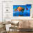Mehar Come Sail Away-108912021