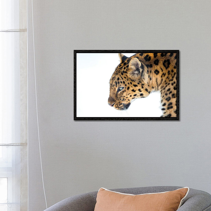 Big Cat by David Gardiner - Print on Canvas, 66.04 cm H x 45.72 cm W, Black Framed