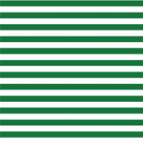 Mrs Paranjape Papers Versa Stripe Premium Matte 10' L x 24" W Wallpaper Roll