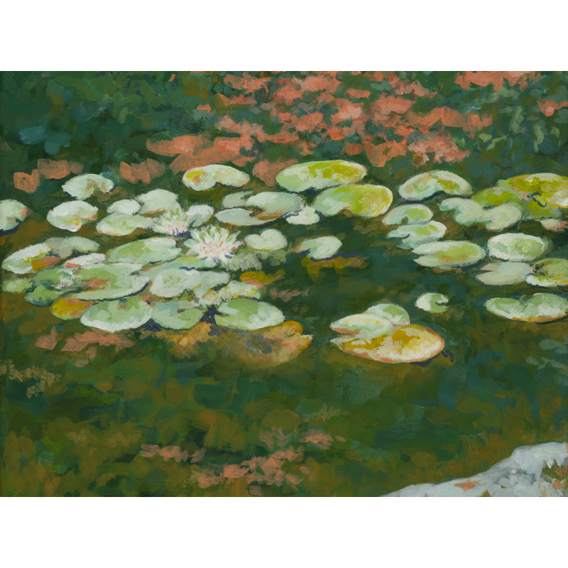 Serenity Lotus Pond III par Ruth Hayes, Papier avec cadre noir, 24" H x 30" W